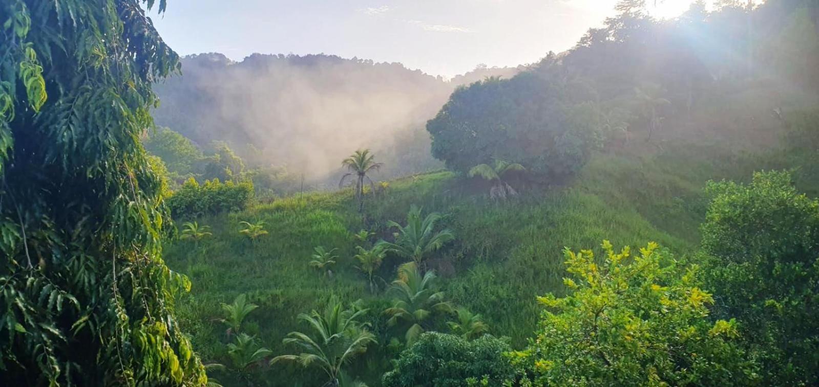 Las Cuevas Beach Lodge Eksteriør billede