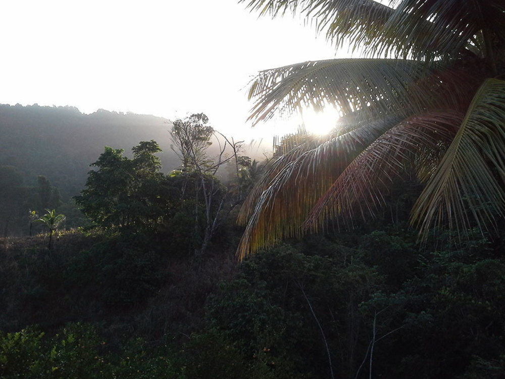 Las Cuevas Beach Lodge Eksteriør billede