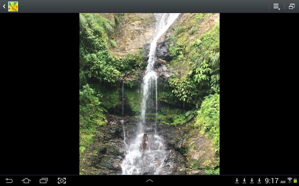 Las Cuevas Beach Lodge Eksteriør billede